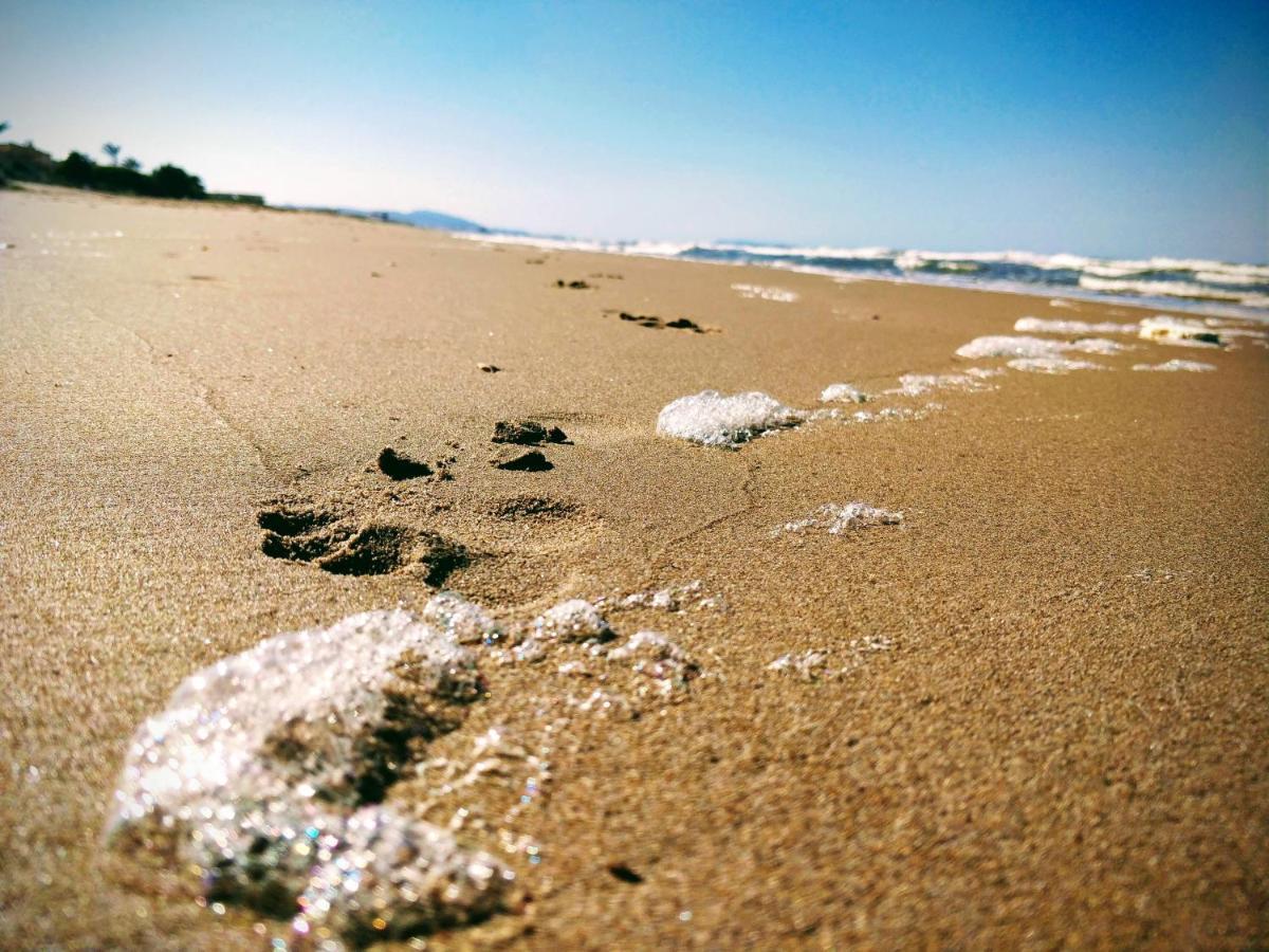 Hello Piles Beach Javier Экстерьер фото